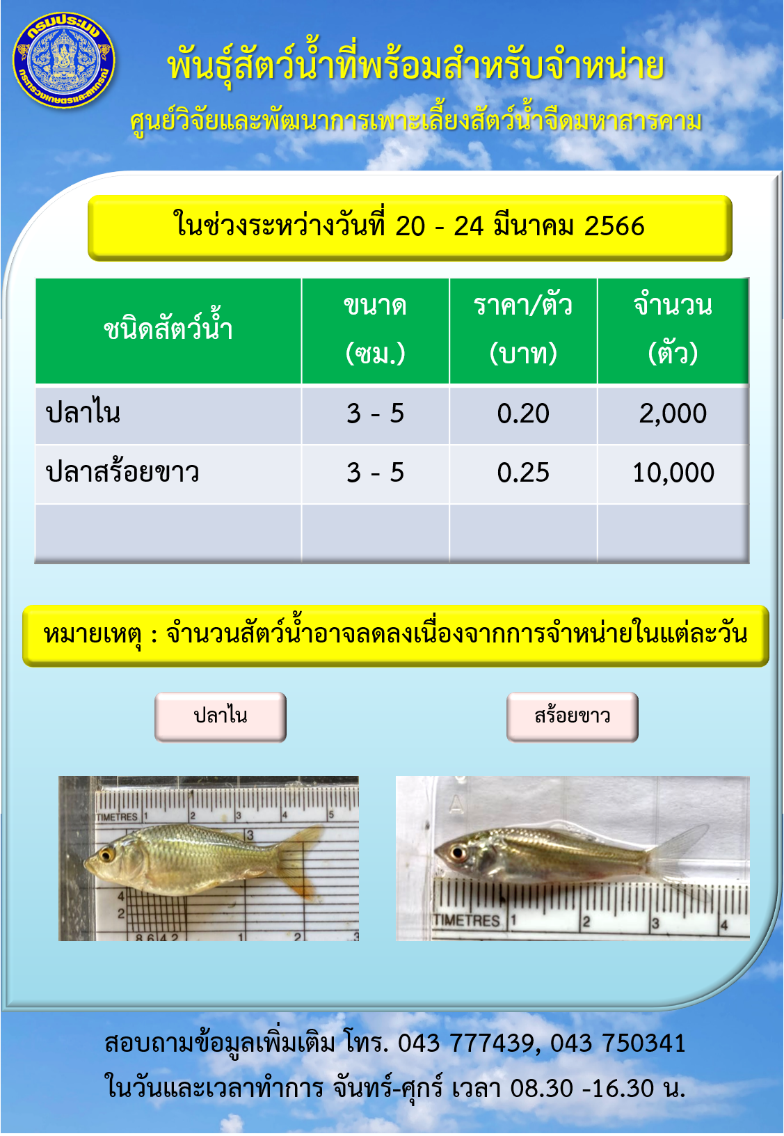 พันธุ์สัตว์น้ำที่พร้อมสำหรับจำหน่าย ระหว่างวันที่ 20 – 24 มีนาคม 2565..คลิก