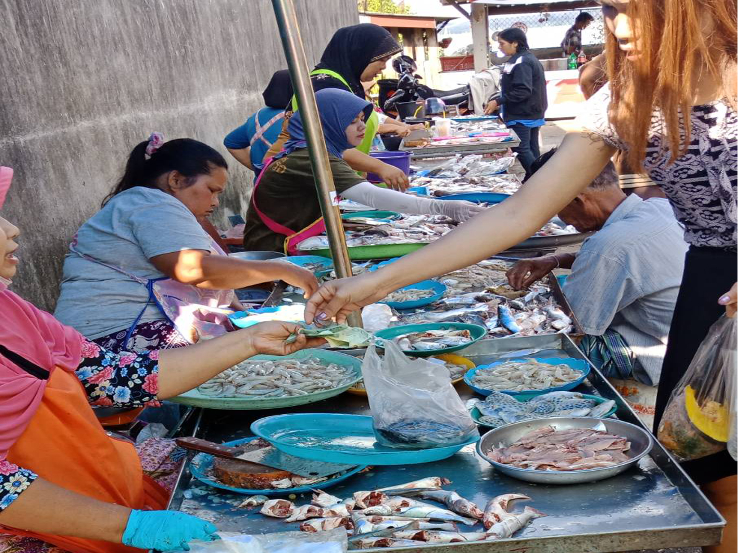สภาวะสัตว์น้ำรอบทะเลสาบสงขลา เดือนมีนาคม 2565..คลิก