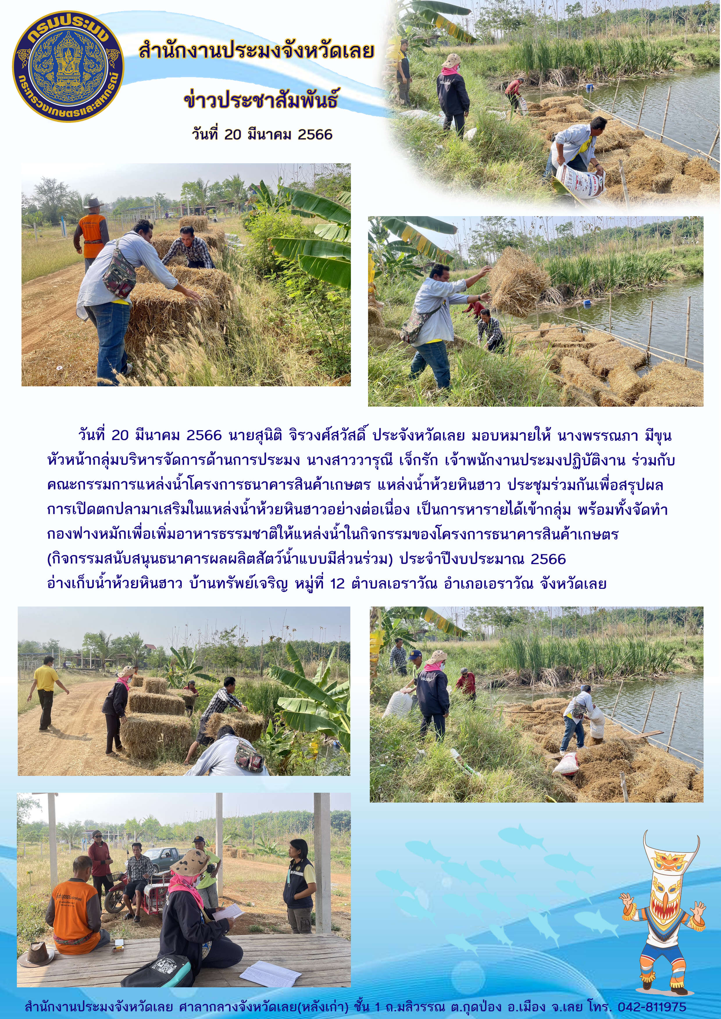 จัดทำกองฟางหมักเพื่อเพิ่มอาหารธรรมชาติให้แหล่งน้ำ