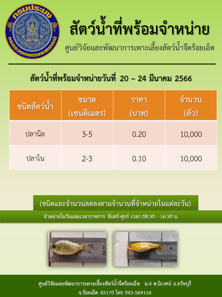 สัตว์น้ำที่พร้อมจำหน่ายวันที่ 20 – 24 มีนาคม 2566