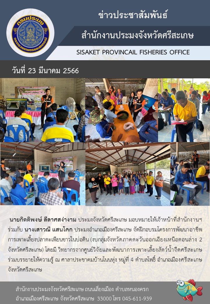 จัดฝึกอบรมโครงการพัฒนาอาชีพการเพาะเลี้ยงปลาตะเพียนขาวในบ่อดินอำเภอเมือง..คลิก
