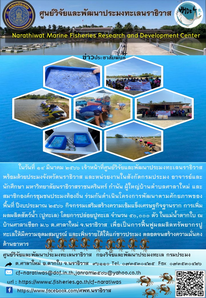 ในวันที่ 14 มีนาคม 2566 เจ้าหน้าที่ศูนย์วิจัยและพัฒนาประมงทะเลนราธิวาส พร้อมด้วยประมงจังหวัดนราธิวาส และหน่วยงานในสังกัดกรมประมง อาจารย์และนักศึกษา มหาวิทยาลัยนราธิวาสราชนครินทร์ กำนัน ผู้ใหญ่บ้านตำบลศาลาใหม่ และสมาชิกองค์กรชุมชนประมงท้องถิ่น ร่วมกันดำเนินโครงการพัฒนาตามศักยภาพของพื้นที่ ปีงบประมาณ 2566 กิจกรรมเสริมสร้างความเข้มแข็งเศรษฐกิจรากฐาน การเพิ่มผลผลิตสัตว์น้ำ (ปูทะเล) โดยการปล่อยปูทะเล จำนวน 50,000 ตัว ในแม่น้ำตากใบ ณ บ้านศาลาเชือก ม.6 ต.ศาลาใหม่ จ.นราธิวาส เพื่อเป็นการฟื้นฟูผลผลิต	ทรัพยากรปูทะเลให้มีความอุดมสมบูรณ์ และเพิ่มรายได้ให้แก่ชาวประมง ตลอดจนสร้างความมั่นคงด้านอาหาร..คลิก