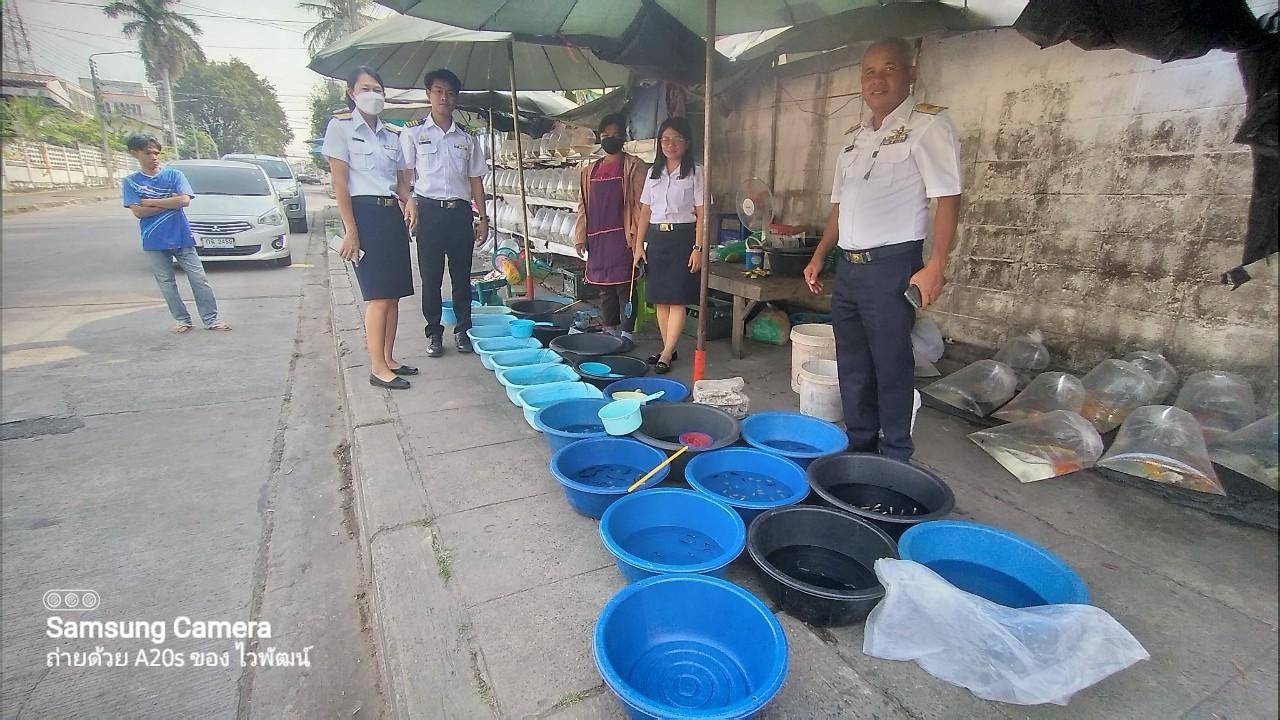 เข้าตรวจสอบร้านค้าจำหน่ายสัตว์น้ำภายในเขตพื้นที่อำเภอเมืองศรีสะเกษ..คลิก