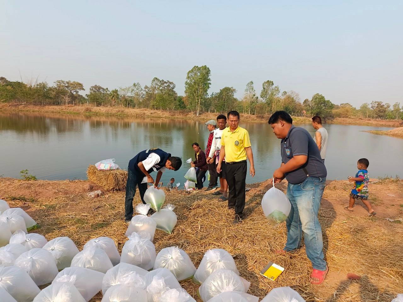 ดำเนินกิจกรรมปล่อยพันธุ์สัตว์น้ำเพื่อเพิ่มผลผลิตสัตว์น้ำในแหล่งน้ำชุมชนเป้าหมายโครงการธนาคารสินค้าเกษตร