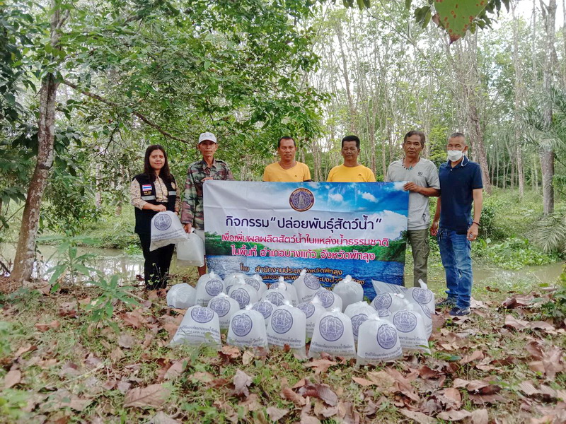 สนับสนุนพันธุ์ปลากินพืช เพื่อปล่อยลงสู่ห้วยเนียง อ.บางแก้ว จ.พัทลุง..คลิก