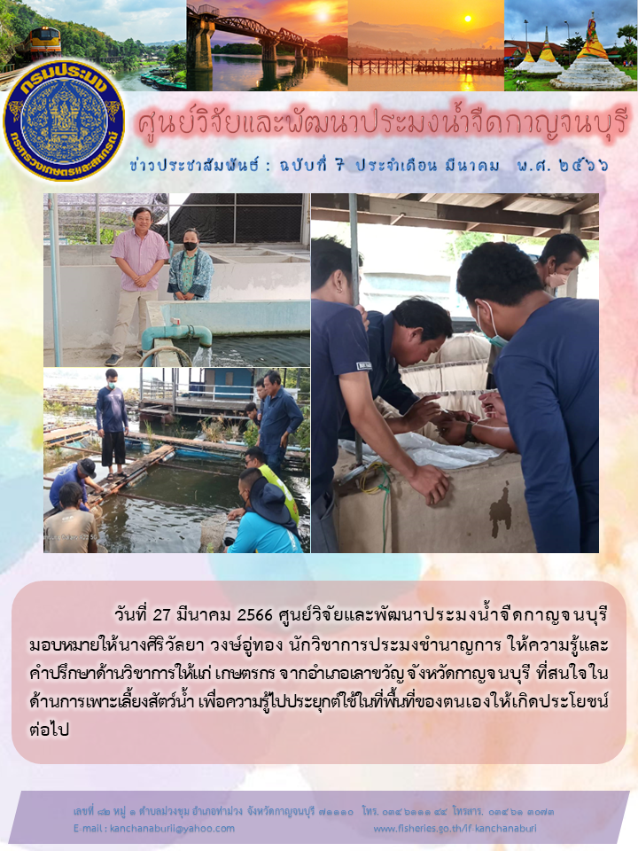 นางศิริวัลยา วงษ์อู่ทอง นักวิชาการประมงชำนาญการ ให้ความรู้และคำปรึกษาให้แก่เกษตรกร จากอำเภอเลาขวัญ จังหวัดกาญจนบุรี..คลิก