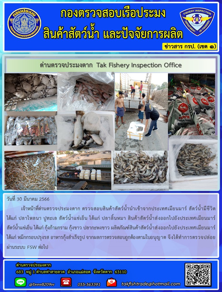 วันที่ 30 มีนาคม 2566           เจ้าหน้าที่ด่านตรวจประมงตาก ตรวจสอบสินค้าสัตว์น้ำนำเข้าจากประเทศเมียนมาร์ สัตว์น้ำมีชีวิต ได้แก่ ไหลนา ปูทะเล สัตว์น้ำแช่เย็น ได้แก่ ปลาลิ้นหมา สินค้าสัตว์น้ำส่งออกไปยังประเทศเมียนมาร์สัตว์น้ำแช่เย็น ได้แก่ กุ้งก้ามกราม กุ้งขาว ปลากะพงขาว ผลิตภัณฑ์สินค้าสัตว์น้ำส่งออกไปยังประเทศเมียนมาร์ ได้แก่ หมึกกรอบปรุงรส อาหารกุ้งสำเร็จรูป จากผลการตรวจสอบถูกต้องตามใบอนุญาต จึงได้ทำการตรวจปล่อยผ่านระบบ FSW ต่อไป..คลิก