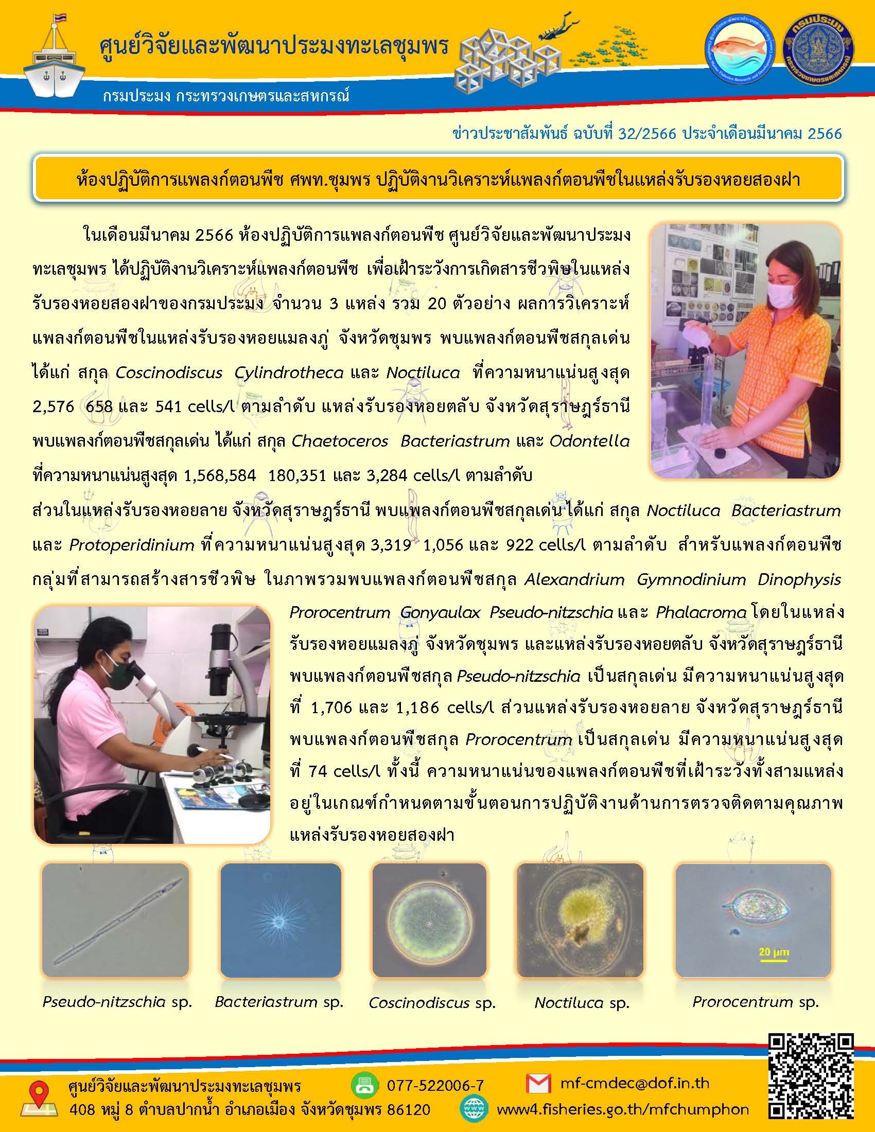 ในเดือนมีนาคม 2566 ห้องปฏิบัติการแพลงก์ตอนพืช ศูนย์วิจัยและพัฒนาประมงทะเลชุมพร ได้ปฏิบัติงานวิเคราะห์แพลงก์ตอนพืช เพื่อเฝ้าระวังการเกิดสารชีวพิษในแหล่งรับรองหอยสองฝาของกรมประมง จำนวน 3 แหล่ง รวม 20 ตัวอย่าง ผลการวิเคราะห์แพลงก์ตอนพืชในแหล่งรับรองหอยแมลงภู่ จังหวัดชุมพร พบแพลงก์ตอนพืชสกุลเด่น ได้แก่ สกุล Coscinodiscus Cylindrotheca และ Noctiluca ที่ความหนาแน่นสูงสุด 2,576 658 และ 541 cells/l ตามลำดับ แหล่งรับรองหอยตลับ จังหวัดสุราษฎร์ธานี พบแพลงก์ตอนพืชสกุลเด่น ได้แก่ สกุล Chaetoceros Bacteriastrum และ Odontella ที่ความหนาแน่นสูงสุด 1,568,584 180,351 และ 3,284 cells/l ตามลำดับ ส่วนในแหล่งรับรองหอยลาย จังหวัดสุราษฎร์ธานี พบแพลงก์ตอนพืชสกุลเด่น..คลิก