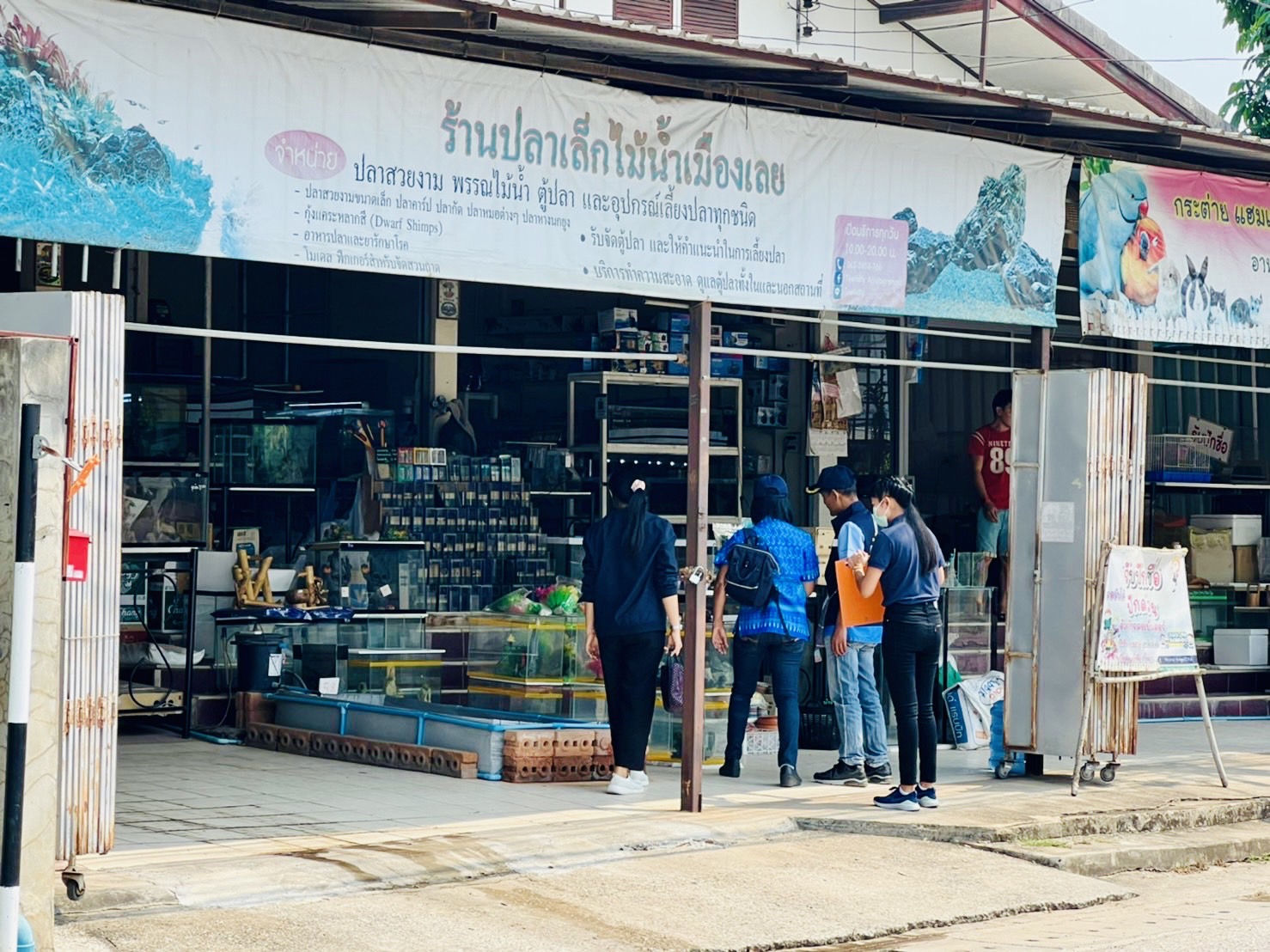 ตรวจสอบสถานที่จำหน่ายสัตว์น้ำสวยงาม จำนวน 2 แห่ง