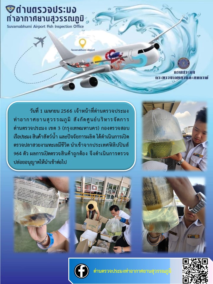 เจ้าหน้าที่ด่านตรวจประมงท่าอากาศยานสุวรรณภูมิ  เปิดตรวจปลาสวยงามทะเลมีชีวิต นำเข้า