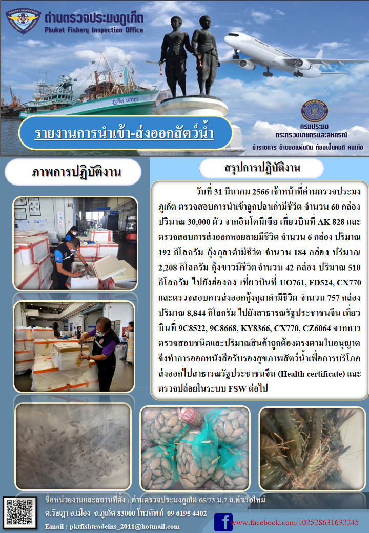 วันที่ 31 มีนาคม 2566 เจ้าหน้าที่ด่านตรวจประมงภูเก็ต ตรวจสอบการนำเข้าลูกปลาเก๋ามีชีวิต จำนวน 60 กล่อง ปริมาณ 30,000 ตัว จากอินโดนีเซีย เที่ยวบินที่ AK828 และตรวจสอบการส่งออกหอยลายมีชีวิต จำนวน 6 กล่อง ปริมาณ 192 กิโลกรัม กุ้งกุลาดำมีชีวิต จำนวน 184 กล่อง ปริมาณ 2,208 กิโลกรัม กุ้งขาวมีชีวิต จำนวน 42 กล่อง ปริมาณ 510 กิโลกรัม ไปยังฮ่องกง เที่ยวบินที่ UO761, FD524, CX770 และตรวจสอบการส่งออกกุ้งกุลาดำมีชีวิต จำนวน 757 กล่อง ปริมาณ 8,844 กิโลกรัม ไปยังสาธารณรัฐประชาชนจีน เที่ยวบินที่ 9C8522, 9C8668, KY8366, CX770, CZ6064 จากการตรวจสอบชนิดและปริมาณสินค้าถูกต้องตามใบอนุญาต จึงทำการออกหนังสือรับรองสุขภาพสัตว์น้ำเพื่อการบริโภคส่งออกไปสาธารณรัฐประชาชนจีน (Health certificate) และตรวจปล่อยในระบบ FSW ต่อไป..คลิก