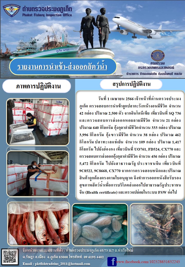 วันที่ 1 เมษายน 2566 เจ้าหน้าที่ด่านตรวจประมงภูเก็ต ตรวจสอบการนำเข้าลูกปลากะรังหน้างอนมีชีวิต จำนวน 42 กล่อง ปริมาณ 2,500 ตัว จากอินโดนีเซีย เที่ยวบินที่ SQ736 และตรวจสอบการส่งออกหอยลายมีชีวิต จำนวน 21 กล่อง ปริมาณ 640 กิโลกรัม กุ้งกุลาดำมีชีวิต จำนวน 333 กล่อง ปริมาณ 3,996 กิโลกรัม กุ้งขาวมีชีวิต จำนวน 38 กล่อง ปริมาณ 462 กิโลกรัม ปลาทะเลแช่เย็น จำนวน 109 กล่อง ปริมาณ 1,417 กิโลกรัม ไปยังฮ่องกง เที่ยวบินที่ UO761, FD524, CX770 และตรวจสอบการส่งออกกุ้งกุลาดำมีชีวิต จำนวน 456 กล่อง ปริมาณ 5,472 กิโลกรัม ไปยังสาธารณรัฐประชาชนจีน เที่ยวบินที่ 9C8522, 9C8668, CX770 จากการตรวจสอบชนิดและปริมาณสินค้าถูกต้องตามใบอนุญาต จึงทำการออกหนังสือรับรองสุขภาพสัตว์น้ำเพื่อการบริโภคส่งออกไปสาธารณรัฐประชาชนจีน (Health certificate) และตรวจปล่อยในระบบ FSW ต่อไป..คลิก