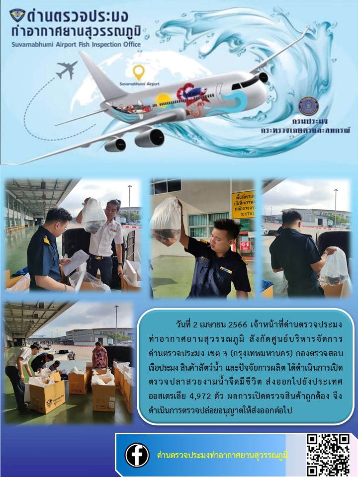 เจ้าหน้าที่ด่านตรวจประมงท่าอากาศยานสุวรรณภูมิ เปิดตรวจการส่งออกสินค้าสัตว์น้ำ ประเภทปลาสวยงามมีชีวิต