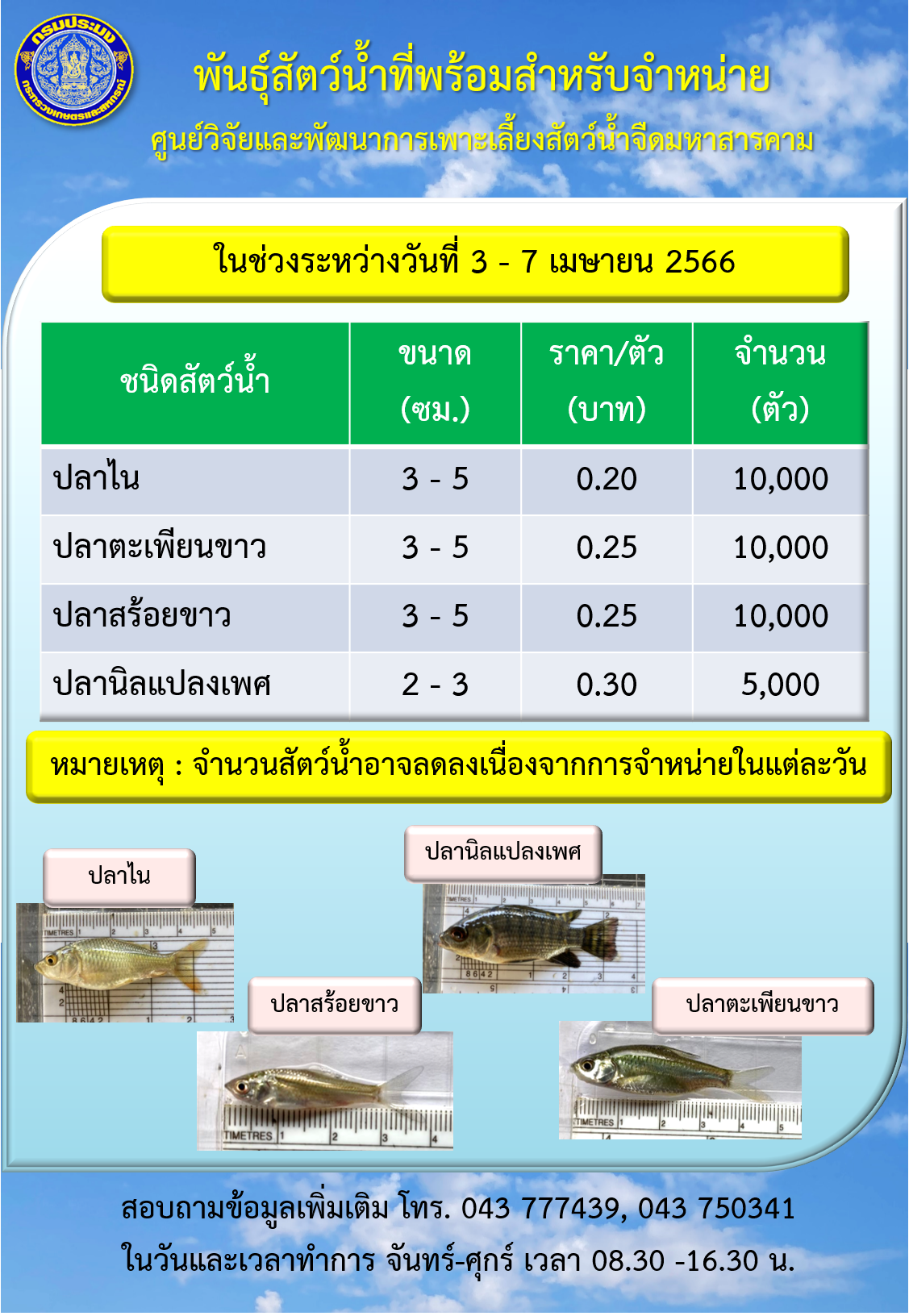 พันธุ์สัตว์น้ำที่พร้อมสำหรับจำหน่าย ระหว่างวันที่ 3 – 7 เมษายน 2566..คลิก