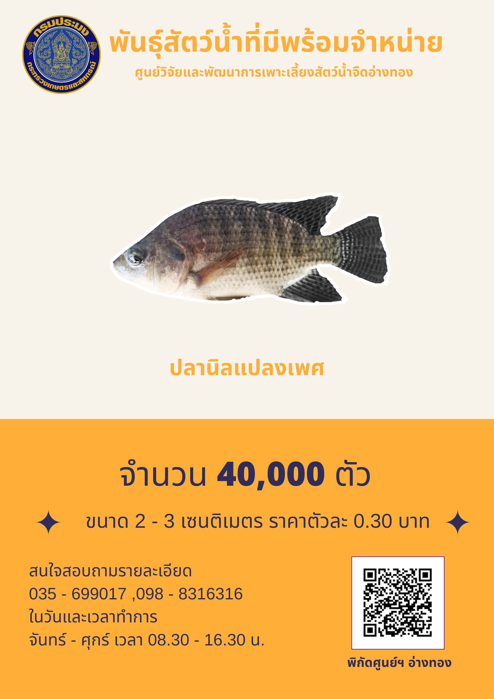 ลูกพันธุ์ปลานิลแปลงเพศ พร้อมจำหน่าย..คลิก