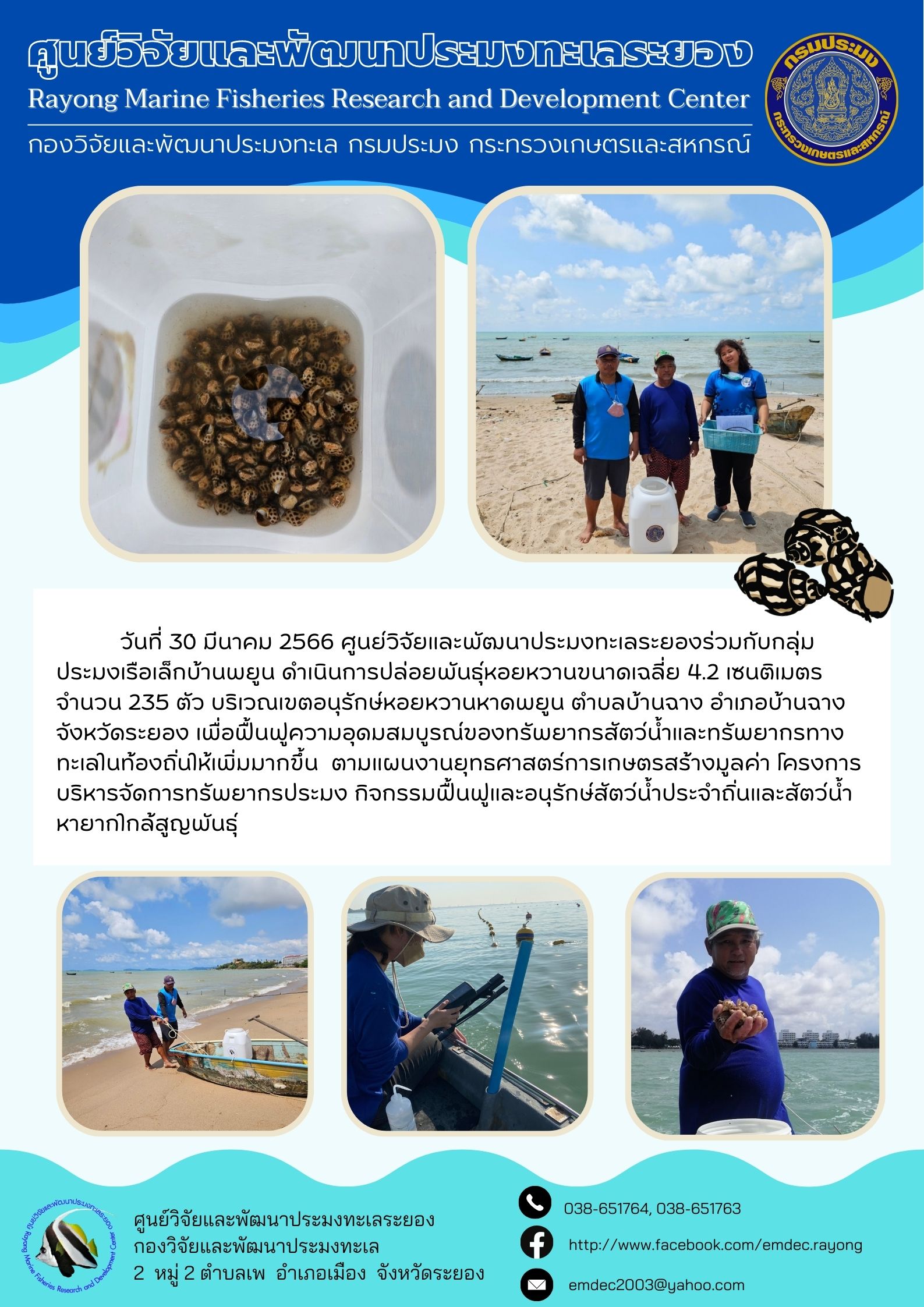 กิจกรรมปล่อยพันธุ์หอยหวานบริเวณเขตอนุรักษ์หอยหวานหาดพยูน