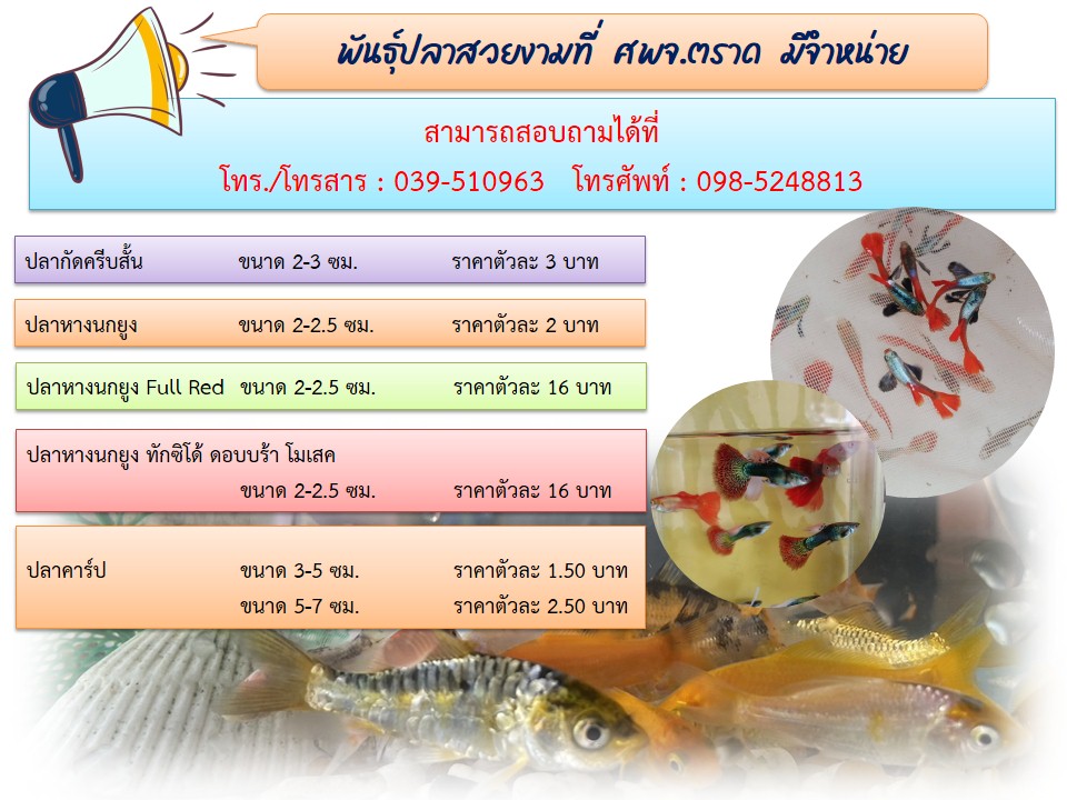 พันธุ์สัตว์น้ำที่เปิดจอง ประจำเดือน เมษายน 2566..คลิก