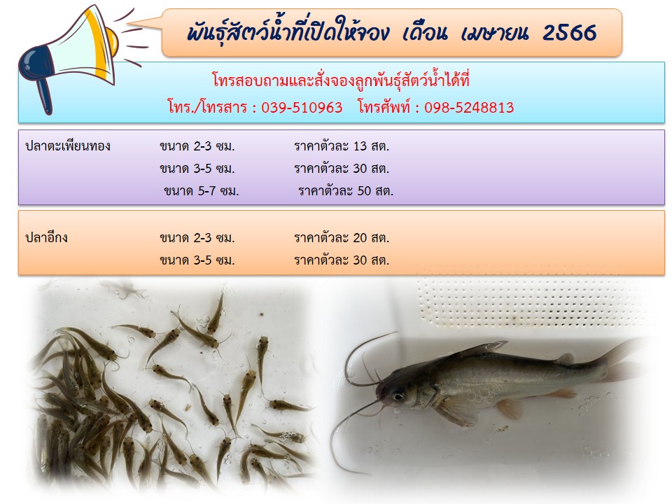 พันธุ์สัตว์น้ำที่เปิดจอง ประจำเดือน เมษายน 2566