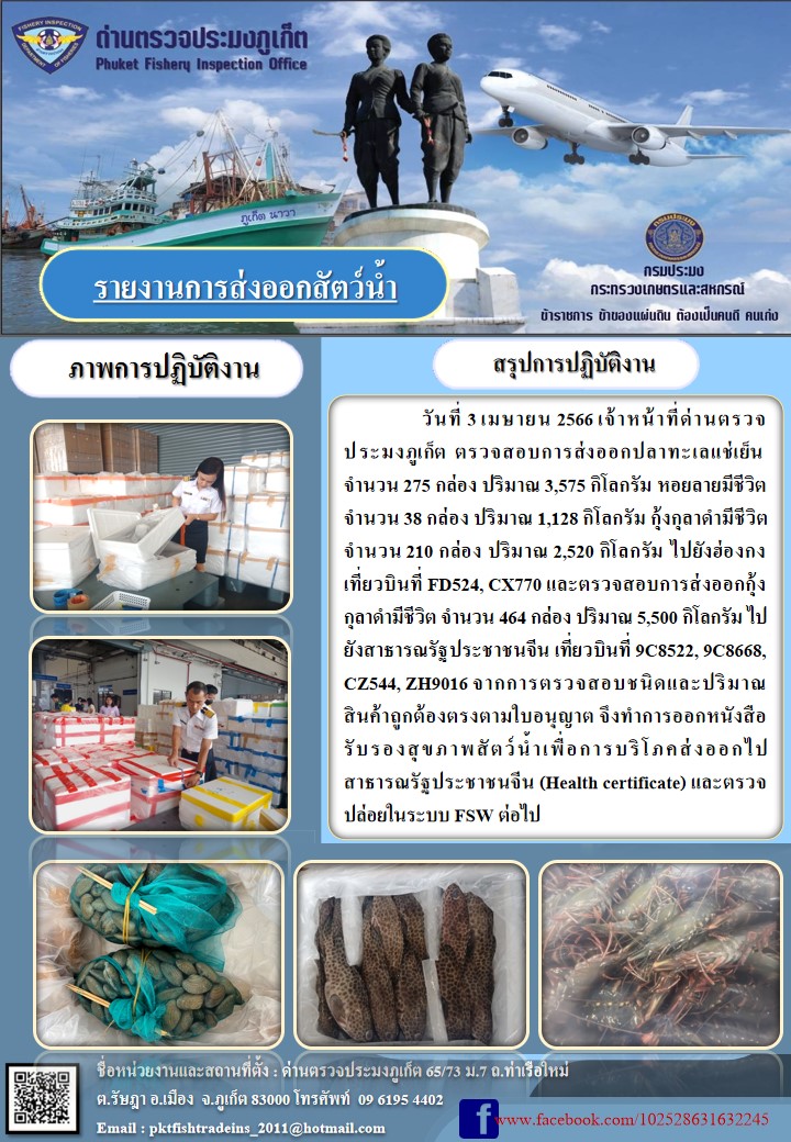 วันที่ 3 เมษายน 2566 เจ้าหน้าที่ด่านตรวจประมงภูเก็ต ตรวจสอบการส่งออกปลาทะเลแช่เย็น จำนวน 275 กล่อง ปริมาณ 3,575 กิโลกรัม หอยลายมีชีวิต จำนวน 38 กล่อง ปริมาณ 1,128 กิโลกรัม กุ้งกุลาดำมีชีวิต จำนวน 210 กล่อง ปริมาณ 2,520 กิโลกรัม ไปยังฮ่องกง เที่ยวบินที่ FD524, CX770 และตรวจสอบการส่งออกกุ้งกุลาดำมีชีวิต จำนวน 464 กล่อง ปริมาณ 5,500 กิโลกรัม ไปยังสาธารณรัฐประชาชนจีน เที่ยวบินที่ 9C8522, 9C8668, CZ544, ZH9016 จากการตรวจสอบชนิดและปริมาณสินค้าถูกต้องตามใบอนุญาต จึงทำการออกหนังสือรับรองสุขภาพสัตว์น้ำเพื่อการบริโภคส่งออกไปสาธารณรัฐประชาชนจีน (Health certificate) และตรวจปล่อยในระบบ FSW ต่อไป..คลิก