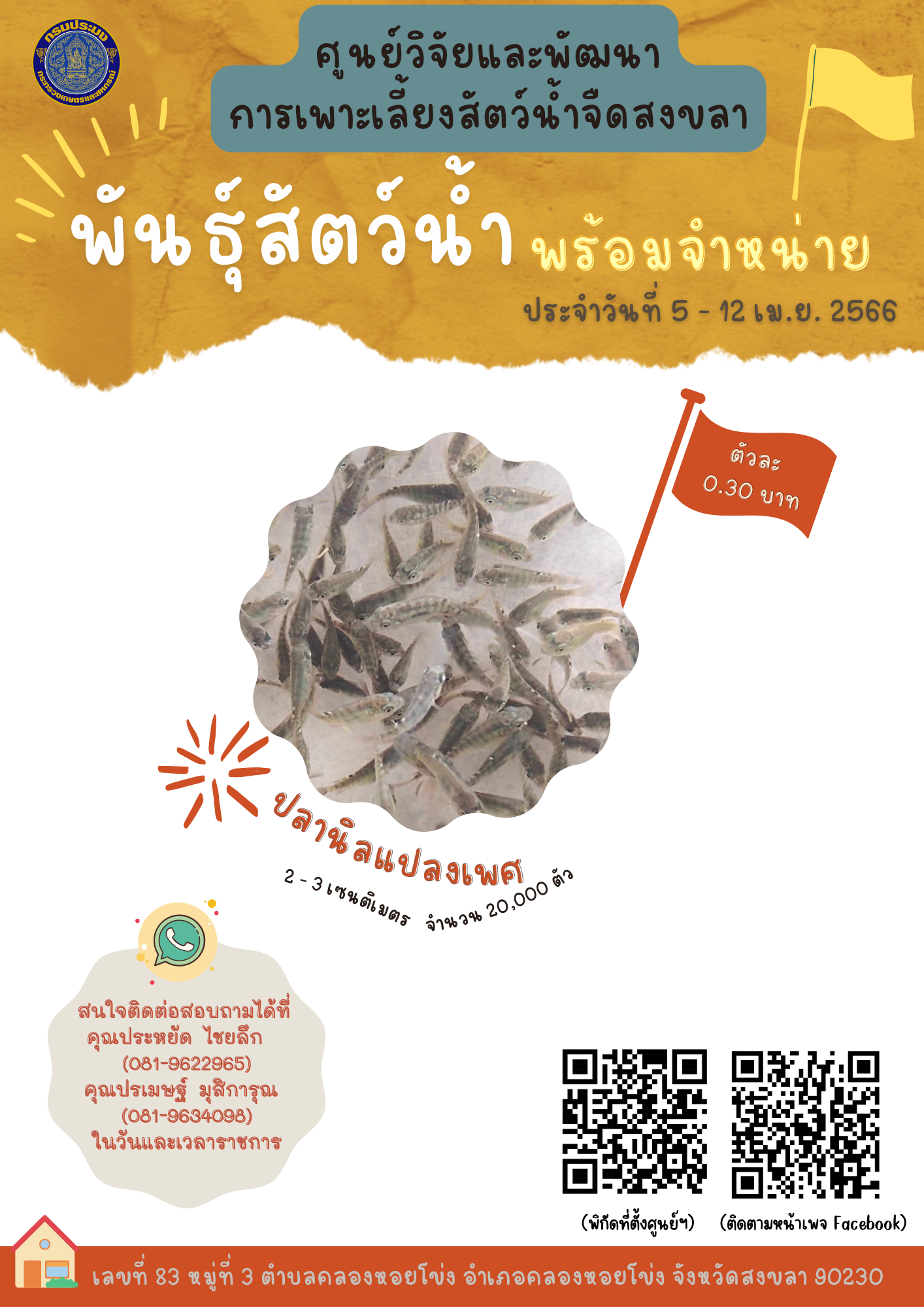 พันธุ์สัตว์น้ำพร้อมจำหน่าย