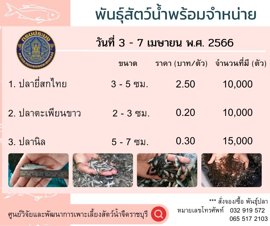 พันธุ์สัตว์น้ำพร้อมจำหน่าย ประจำวันที่  3  - 7 เมษายน 2566..คลิก