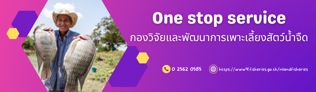 สไลด์