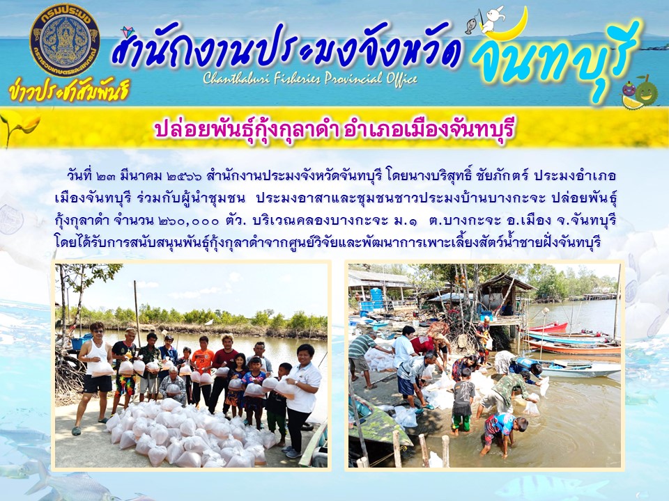 ปล่อยพันธุ์กุ้งกุลาดำ อำเภอเมืองจันทบุรี