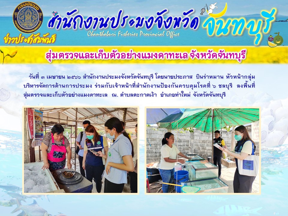 ลงพื้นที่สุ่มตรวจและเก็บตัวอย่างแมงดาทะเล จังหวัดจันทบุรี