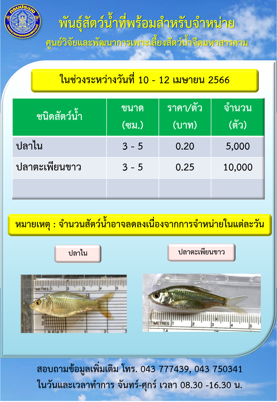 พันธุ์สัตว์น้ำที่พร้อมสำหรับจำหน่าย ระหว่างวันที่ 10 – 12 เมษายน 2566..คลิก