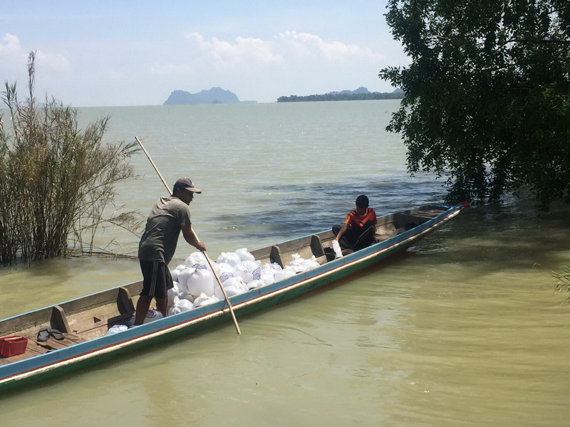 สนับสนุนพันธุ์ปลากินพืช เพื่อปล่อยลงสู่ทะเลสาบสงขลา อ.ปากพะยูน จ.พัทลุง..คลิก