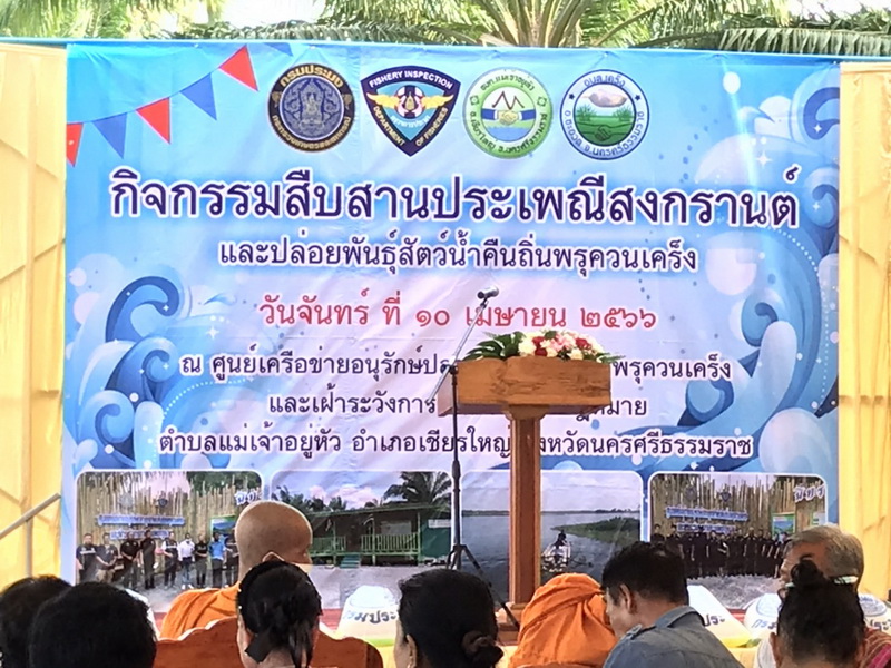 สนับสนุนพันธุ์ปลากินพืช เพื่อปล่อยลงสู่พรุควนเคร็ง จ.นครศรีธรรมราช..คลิก