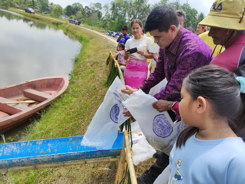 สนับสนุนพันธุ์ปลากินพืช เพื่อปล่อยลงสู่ห้วยหนองคล้า อ.ป่าบอน จ.พัทลุง..คลิก