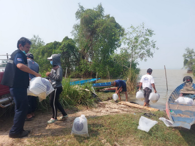 สนับสนุนพันธุ์ปลากินพืช เพื่อปล่อยลงสู่อ่าวท่าต่อเรือ อ.เขาชัยสน จ.พัทลุง..คลิก