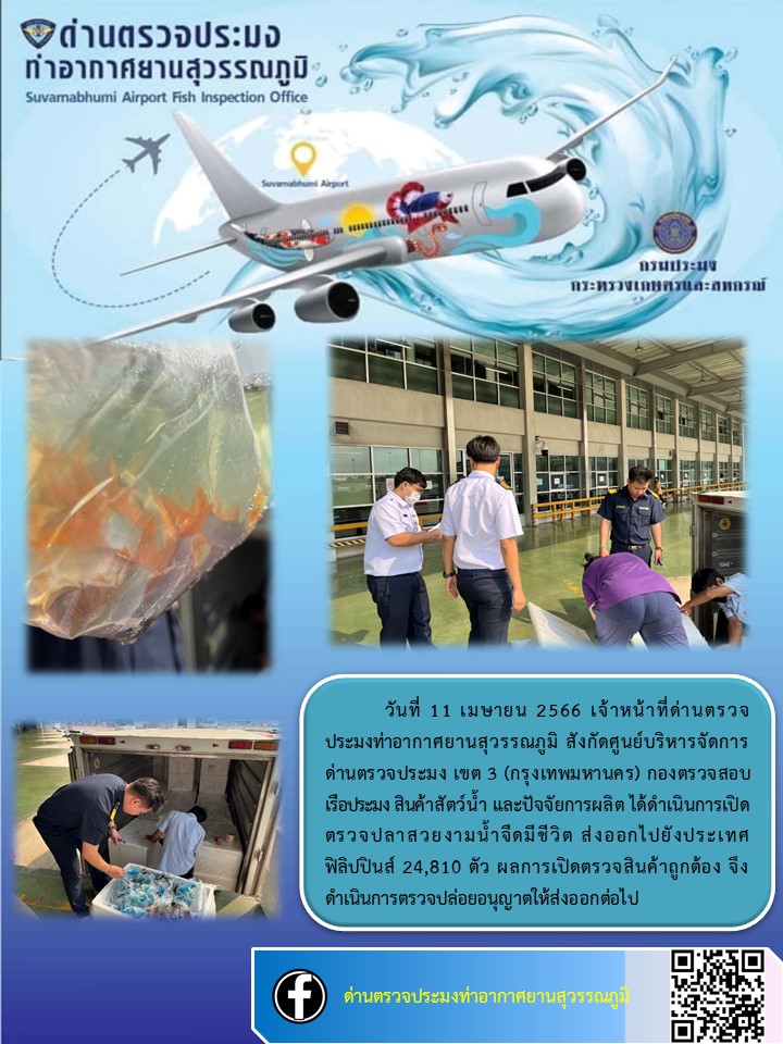 เจ้าหน้าที่ด่านตรวจประมงท่าอากาศยานสุวรรณภูมิ เปิดตรวจการส่งออกสินค้าสัตว์น้ำ ประเภทปลาสวยงามมีชีวิต..คลิก