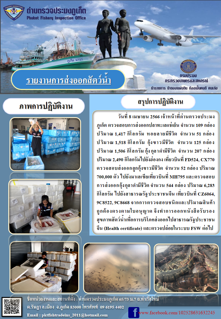 วันที่ 8 เมษายน 2566 เจ้าหน้าที่ด่านตรวจประมงภูเก็ต ตรวจสอบการส่งออกปลาทะเลแช่เย็น จำนวน 109 กล่อง ปริมาณ 1,417 กิโลกรัม หอยลายมีชีวิต จำนวน 51 กล่อง ปริมาณ 1,518 กิโลกรัม กุ้งขาวมีชีวิต จำนวน 125 กล่อง ปริมาณ 1,506 กิโลกรัม กุ้งกุลาดำมีชีวิต จำนวน 207 กล่อง ปริมาณ 2,490 กิโลกรัม ไปยังฮ่องกง เที่ยวบินที่ FD524, CX770 ตรวจสอบการส่งออกลูกกุ้งขาวชีวิต จำนวน 52 กล่อง ปริมาณ 700,000 ตัว ไปยังมาเลเซีย เที่ยวบินที่ MH795 และตรวจสอบการส่งออกกุ้งกุลาดำมีชีวิต จำนวน 544 กล่อง ปริมาณ 6,283 กิโลกรัม ไปยังสาธารณรัฐประชาชนจีน เที่ยวบินที่ CZ6064, 9C8522, 9C8668 จากการตรวจสอบชนิดและปริมาณสินค้าถูกต้องตามใบอนุญาต จึงทำการออกหนังสือรับรองสุขภาพสัตว์น้ำเพื่อการบริโภคส่งออกไปสาธารณรัฐประชาชนจีน (Health certificate) และตรวจปล่อยในระบบ FSW ต่อไป..คลิก