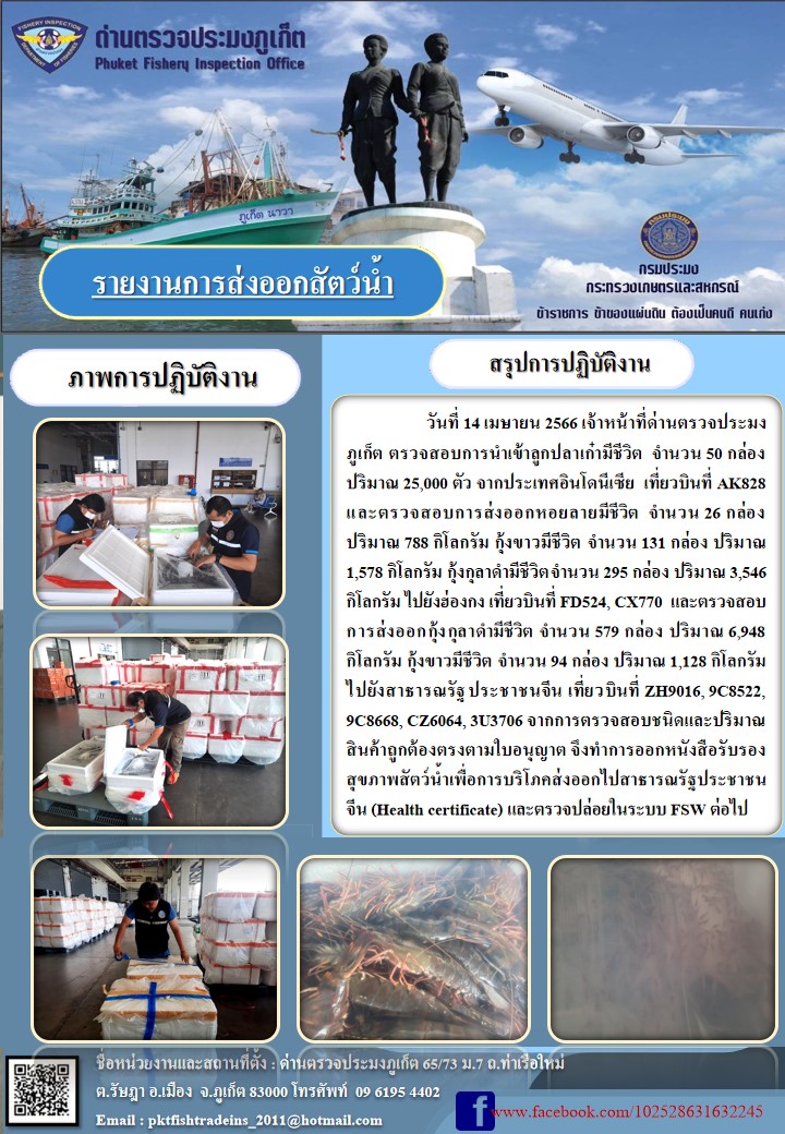 วันที่ 14 เมษายน 2566 เจ้าหน้าที่ด่านตรวจประมงภูเก็ต ตรวจสอบการนำเข้าลูกปลาเก๋ามีชีวิต จำนวน 50 กล่อง ปริมาณ 25,000 ตัว จากประเทศอินโดนีเซีย เที่ยวบินที่ AK828 และตรวจสอบการส่งออกหอยลายมีชีวิต จำนวน 26 กล่อง ปริมาณ 788 กิโลกรัม กุ้งขาวมีชีวิต จำนวน 131 กล่อง ปริมาณ 1,578 กิโลกรัม กุ้งกุลาดำมีชีวิต จำนวน 295 กล่อง ปริมาณ 3,546 กิโลกรัม ไปยังฮ่องกง เที่ยวบินที่ FD524, CX770 และตรวจสอบการส่งออกกุ้งกุลาดำชีวิต จำนวน 579  กล่อง ปริมาณ 6,948 กิโลกรัม กุ้งขาวมีชีวิต จำนวน 94 กล่อง ปริมาณ 1,128 กิโลกรัม ไปยังสาธารณรัฐประชาชนจีน เที่ยวบินที่ ZH9016, 9C8522, 9C8668, CZ6064, 3U3706 จากการตรวจสอบชนิดและปริมาณสินค้าถูกต้องตามใบอนุญาต จึงทำการออกหนังสือรับรองสุขภาพสัตว์น้ำเพื่อการบริโภคส่งออกไปสาธารณรัฐประชาชนจีน (Health certificate) และตรวจปล่อยในระบบ FSW ต่อไป..คลิก