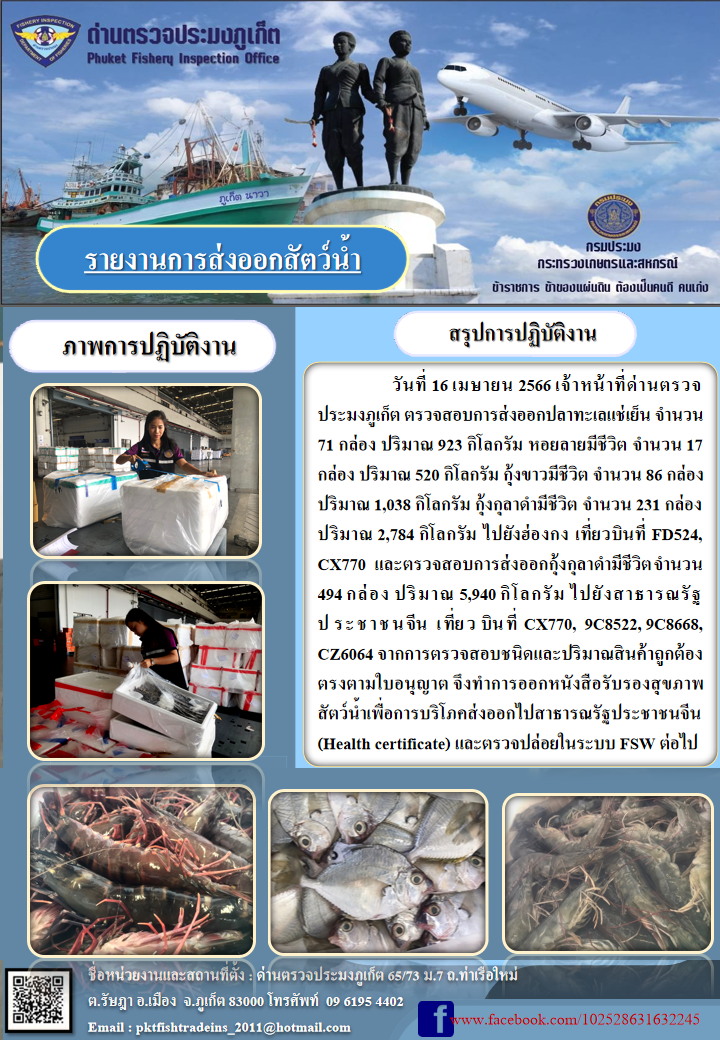 วันที่ 16 เมษายน 2566 เจ้าหน้าที่ด่านตรวจประมงภูเก็ต ตรวจสอบการส่งออกปลาทะเลแช่เย็น จำนวน 71 กล่อง ปริมาณ 923 กิโลกรัม หอยลายมีชีวิต จำนวน 17 กล่อง ปริมาณ 520 กิโลกรัม กุ้งขาวมีชีวิต จำนวน 86 กล่อง ปริมาณ 1,038 กิโลกรัม กุ้งกุลาดำมีชีวิต จำนวน 231 กล่อง ปริมาณ 2,784 กิโลกรัม ไปยังฮ่องกง เที่ยวบินที่ FD524, CX770 และตรวจสอบการส่งออกกุ้งกุลาดำชีวิต จำนวน 494  กล่อง ปริมาณ 5,940 กิโลกรัม ไปยังสาธารณรัฐประชาชนจีน เที่ยวบินที่ CX770, 9C8522, 9C8668, CZ6064 จากการตรวจสอบชนิดและปริมาณสินค้าถูกต้องตามใบอนุญาต จึงทำการออกหนังสือรับรองสุขภาพสัตว์น้ำเพื่อการบริโภคส่งออกไปสาธารณรัฐประชาชนจีน (Health certificate) และตรวจปล่อยในระบบ FSW ต่อไป..คลิก