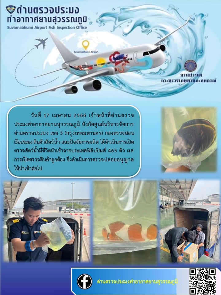 เจ้าหน้าที่ด่านตรวจประมงท่าอากาศยานสุวรรณภูมิ  เปิดตรวจปลาสวยงามทะเลมีชีวิต นำเข้าจากประเทศฟิลิปปินส์