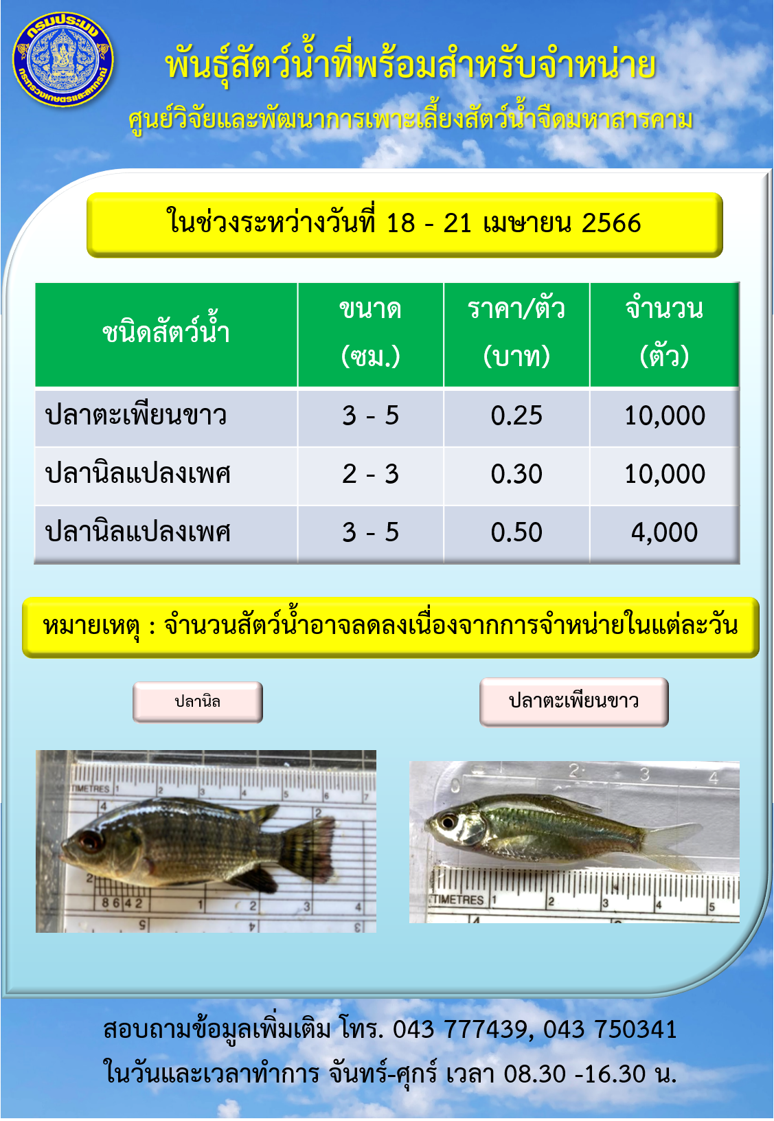พันธุ์สัตว์น้ำที่พร้อมสำหรับจำหน่าย ระหว่างวันที่ 18 – 21 เมษายน 2566..คลิก