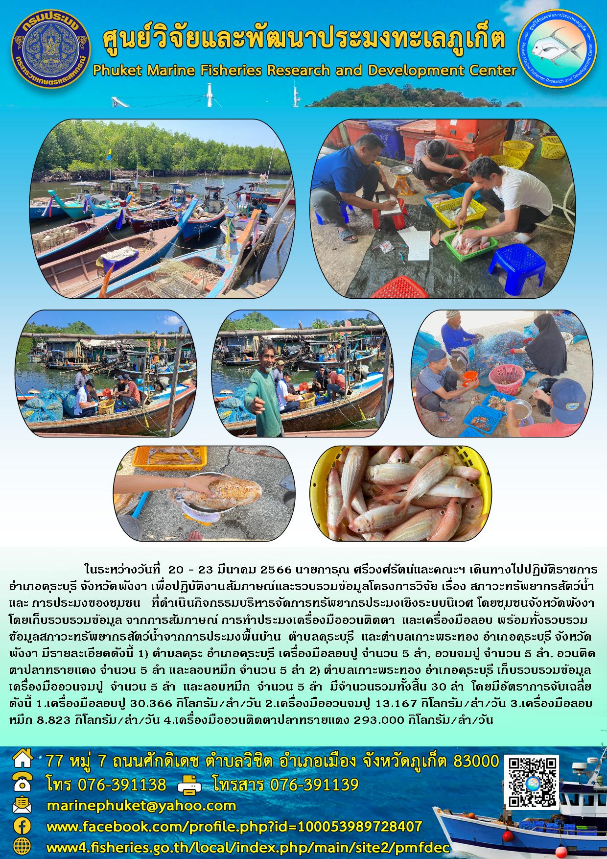 ในระหว่างวันที่ 20-23 มีนาคม 2566 นายการุณ ศรีวงศ์รัตน์และคณะฯ เดินทางไปปฏิบัติราชการ อำเภอคุระบุรี จังหวัดพังงา เพื่อปฏิบัติงานสัมภาษณ์และรวบรวมข้อมูลโครงการวิจัย เรื่อง สภาวะทรัพยากรสัตว์น้ำและ การประมงของชุมชน ที่ดำเนินกิจกรรมบริหารจัดการทรัพยากรประมงเชิงระบบนิเวศ โดยชุมชนจังหวัดพังงา โดยเก็บรวบรวมข้อมูล จากการสัมภาษณ์ การทำประมงเครื่องมืออวนติดตา และเครื่องมือลอบ พร้อมทั้งรวบรวม ข้อมูลสภาวะทรัพยากรสัตว์น้ำจากการประมงพื้นบ้าน ตำบลคุระบุรี และตำบลเกาะพระทอง อำเภอคุระบุรี จังหวัดพังงา มีรายละเอียดดังนี้ 1) ตำบลคุระ อำเภอคุระบุรี เครื่องมือลอบปู จำนวน 5 ลำ, อวนจมปู จำนวน 5 ลำ, อวนติดตาปลาทรายแดง จำนวน 5 ลำ และลอบหมึก จำนวน 2 ลำ