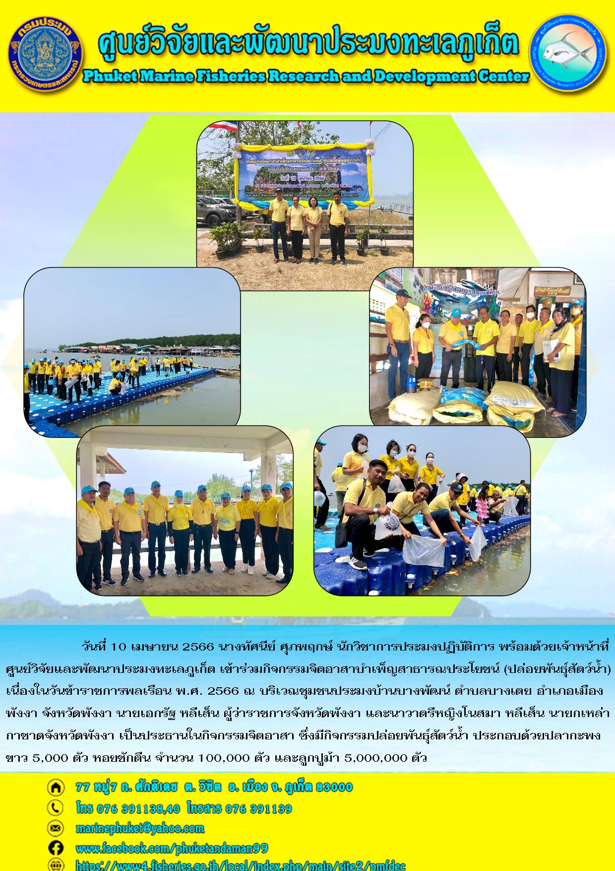 วันที่ 10 เมษายน 2566 นางทัศนีย์ ศุภพฤกษ์ นักวิชาการประมงปฏิบัติการ พร้อมด้วยเจ้าหน้าที่ศูนย์วิจัยและพัฒนาประมงทะเลภูเก็ต เข้าร่วมกิจกรรมจิตอาสาบำเพ็ญสาธารณประโยชน์ (ปล่อยพันธุ์สัตว์น้ำ) เนื่องในวันข้าราชการพลเรือน พ.ศ. 2566 ณ บริเวณชุมชนประมงบ้านบางพัฒน์ ตำบลบางเตย อำเภอเมืองพังงา จังหวัดพังงา นายเอกรัฐ หลีเส็น ผู้ว่าราชการจังหวัดพังงา และนาวาตรีหญิงโนสมา หลีเส็น นายกเหล่ากาชาดจังหวัดพังงา เป็นประธานในกิจกรรมจิตอาสา ซึ่งมีกิจกรรมปล่อยพันธุ์สัตว์น้ำ ประกอบด้วยปลากะพงขาว 5,000 ตัว หอยชักตีน จำนวน 100,000 ตัว และลูกปูม้า 5,000,000 ตัว..คลิก