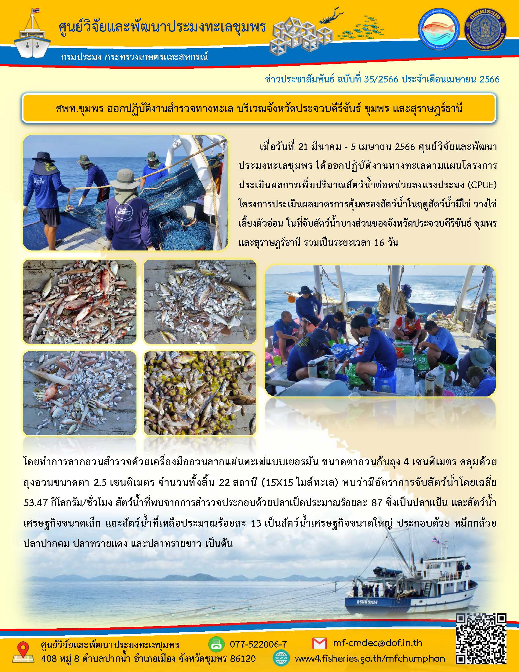เมื่อวันที่ 21 มีนาคม – 5 เมษายน 2566 ศูนย์วิจัยและพัฒนาประมงทะเลชุมพร ได้ออกปฏิบัติงานทางทะเลตามแผนโครงการประเมินผลการเพิ่มปริมาณสัตว์น้ำต่อหน่วยลงแรงประมง (CPUE) โครงการประเมินผลมาตรการคุมครองสัตว์น้ำในฤดูสัตว์น้ำมีไข่ วางไข่ เลี้ยงตัวอ่อน ในที่จับสัตว์น้ำบางส่วนของจังหวัดประจวบคีรีขันธ์ ชุมพรและสุราษฎร์ธานี รวมเป็นระยะเวลา 16 วัน 	โดยทำการลากอวนสำรวจด้วยเครื่องมืออวนลากแผ่นตะเฆ่แบบเยอรมัน ขนาดตาอวนก้นถุง 4 เซนติเมตร คลุมด้วยถุงอวนขนาดตา 2.5 เซนติเมตร จำนวนทั้งสิ้น 22 สถานี (15X15 ไมล์ทะเล) พบว่ามีอัตราการจับสัตว์น้ำโดยเฉลี่ย 53.47 กิโลกรัม/ชั่วโมง สัตว์น้ำที่พบจากการสำรวจประกอบด้วยปลาเป็ดประมาณร้อยละ 87 ซึ่งเป็นปลาแป้น และสัตว์น้ำเศรษฐกิจขนาดเล็ก และสัตว์น้ำที่เหลือประมาณร้อยละ 13 เป็นสัตว์น้ำเศรษฐกิจขนาดใหญ่ ประกอบด้วย หมึกกล้วย ปลาปากคม ปลาทรายแดง และปลาทรายขาว เป็นต้น..คลิก
