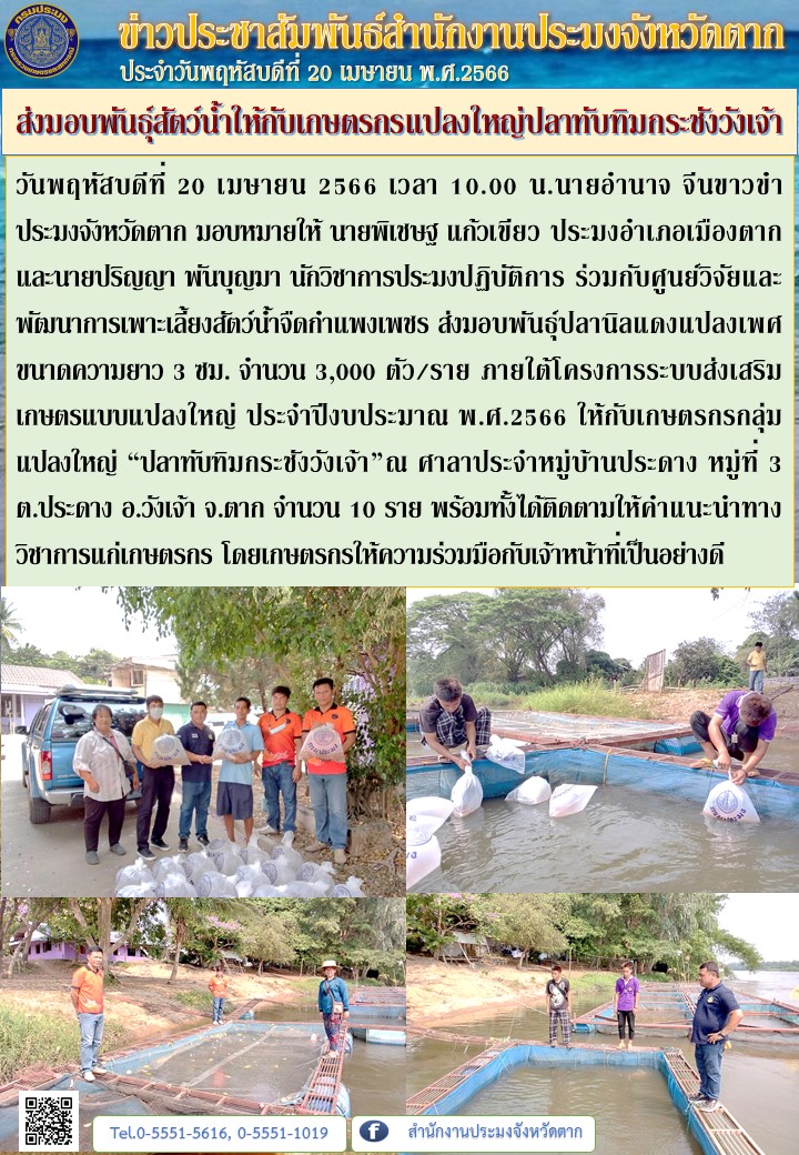 ส่งมอบพันธุ์สัตว์น้ำให้กับเกษตรกรแปลงใหญ่ปลาทับทิมกระชังวังเจ้า..คลิก