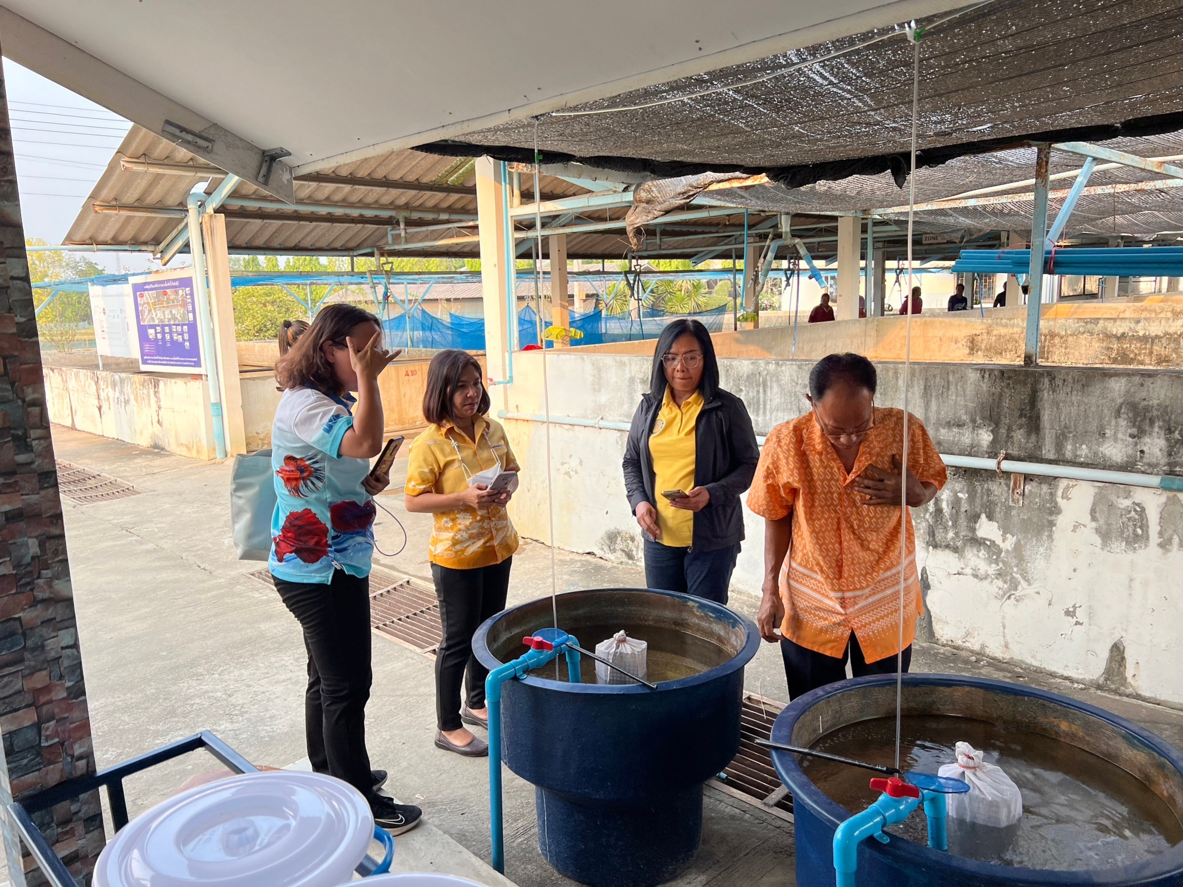กองวิจัยและพัฒนาการเพาะเลี้ยงสัตว์น้ำจืดเร่งปรับปรุงแผนปฏิบัติการพัฒนาปลาช่อน พ.ศ.2566 - 2570..คลิก