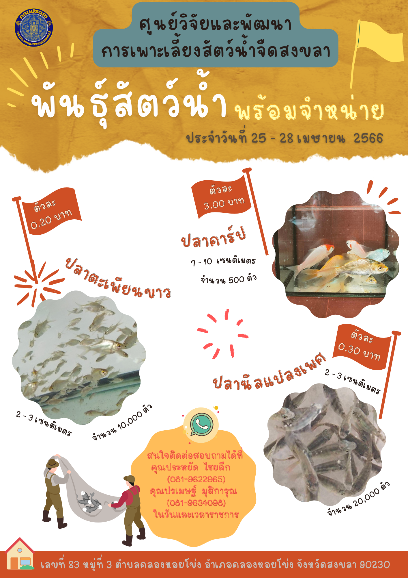 พันธุ์สัตว์น้ำพร้อมจำหน่าย