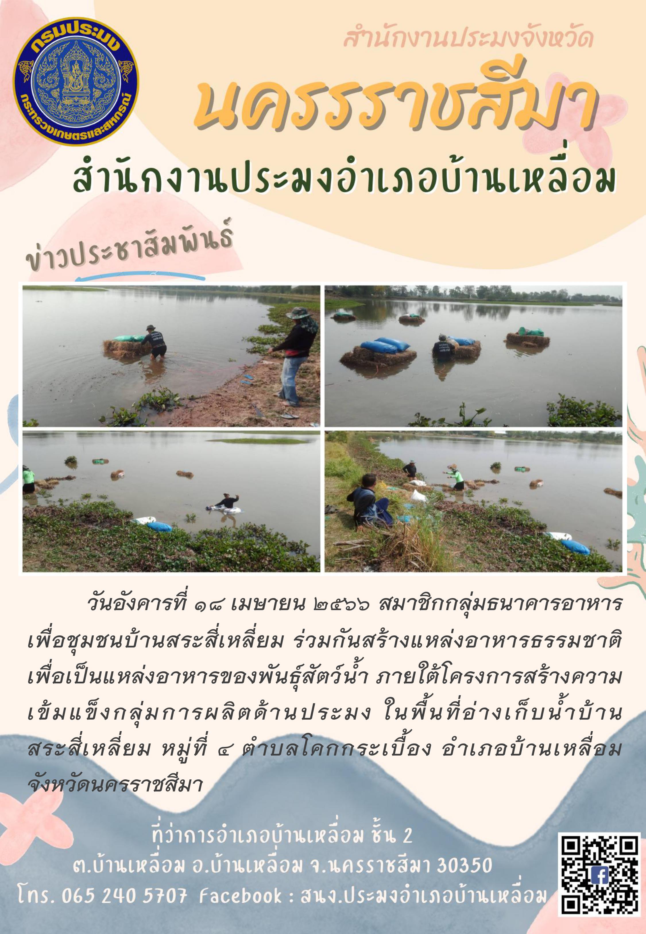 สมาชิกกลุ่มธนาคารอาหารเพื่อชุมชนบ้านสระสี่เหลี่ยมร่วมกันสร้างแหล่งอาหารธรรมชาติเพื่อเป็นอาหารแก่สัตว์น้ำ..คลิก
