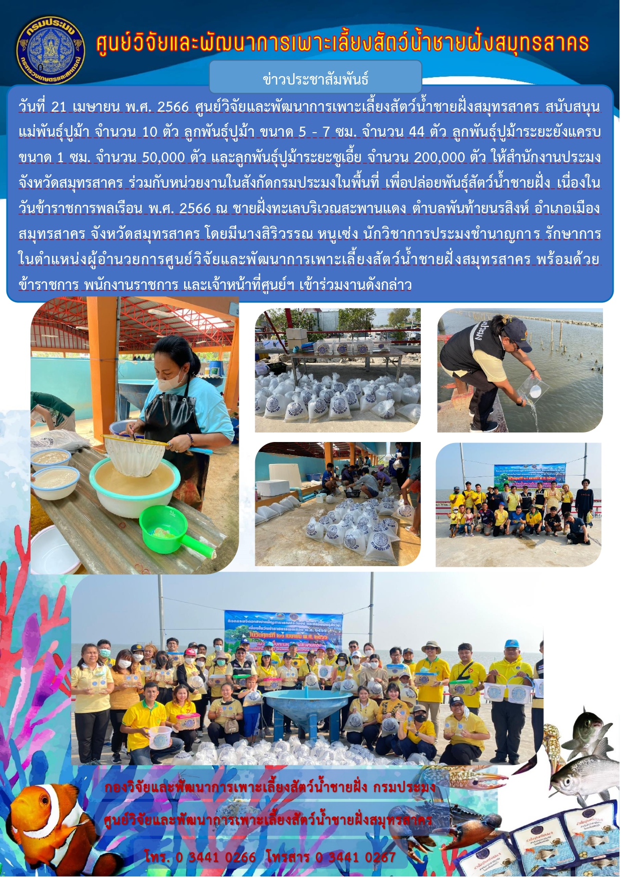 ศูนย์วิจัยและพัฒนาการเพาะเลี้ยงสัตว์น้ำชายฝั่งสมุทรสาคร สนับสนุนพันธุ์ปูม้า..คลิก