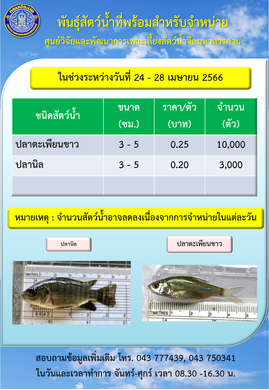 พันธุ์สัตว์น้ำที่พร้อมสำหรับจำหน่าย ระหว่างวันที่ 24 – 28 เมษายน 2566..คลิก