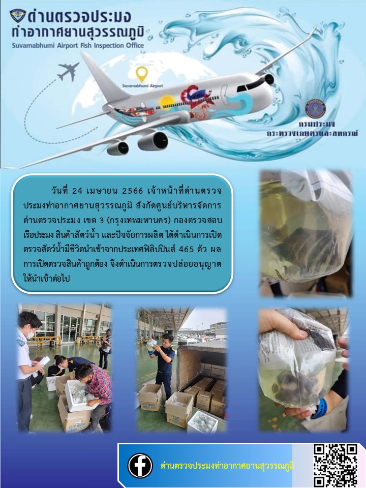 เจ้าหน้าที่ด่านตรวจประมงท่าอากาศยานสุวรรณภูมิ  เปิดตรวจปลาสวยงามทะเลมีชีวิต นำเข้า..คลิก