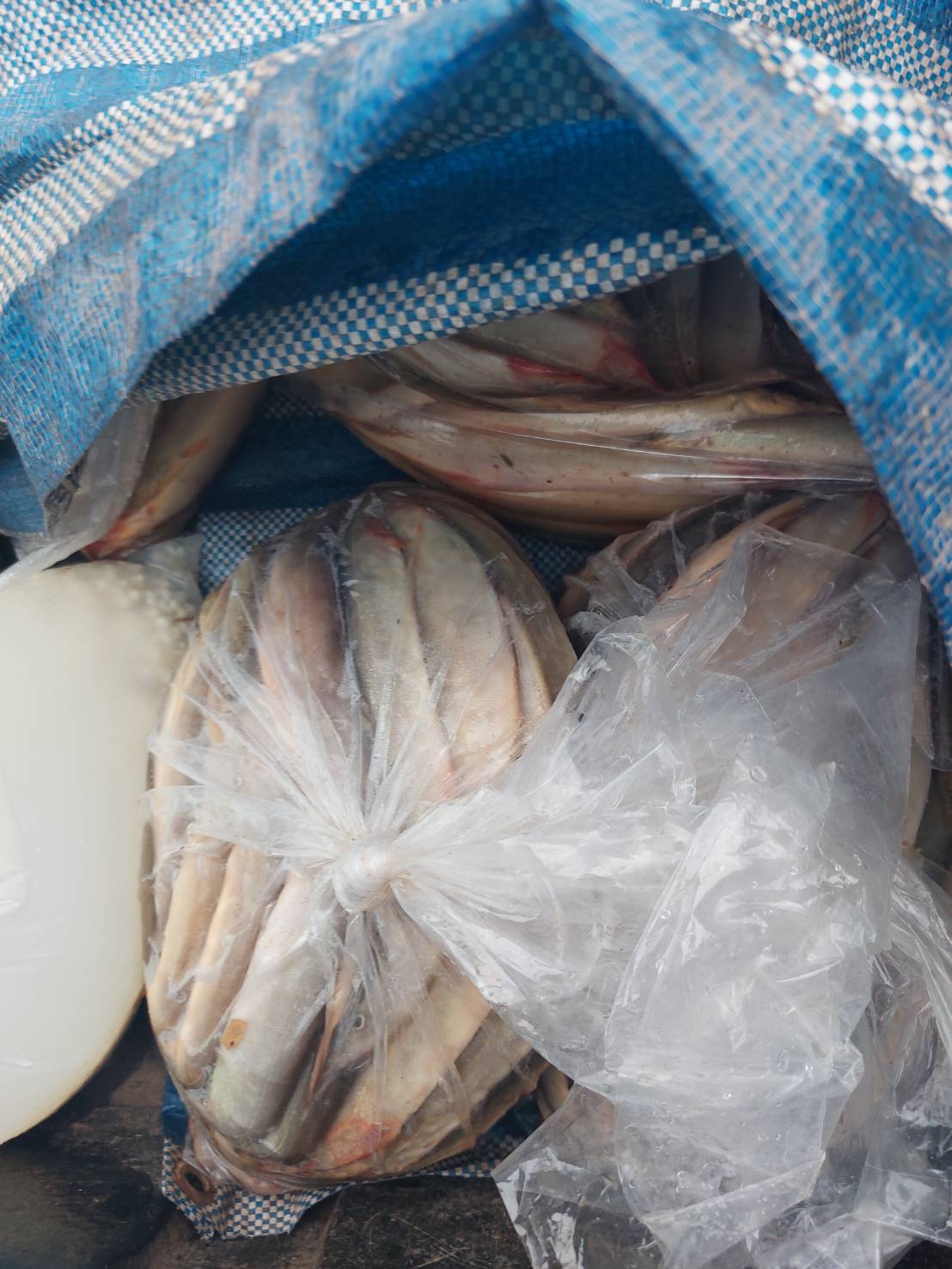 ผลการปฏิบัติงานด่านตรวจประมงสุรินทร์ วันที่ 24 เมษายน พ.ศ.2566 ณ จุดผ่านแดนถาวรช่องจอม..คลิก